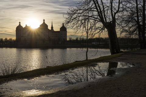 Jännerlicht