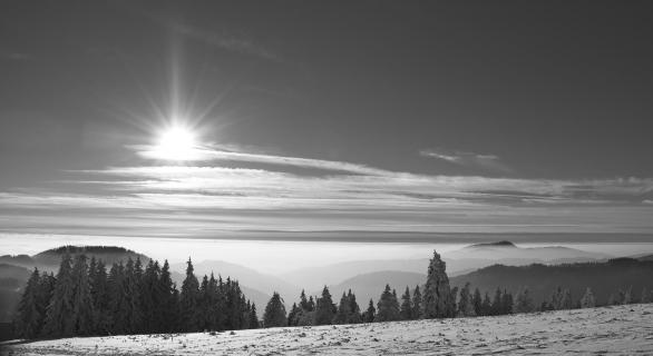 Sicht vom Feldberg