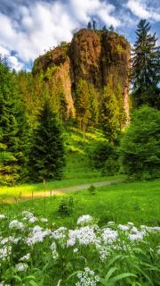 Falkenstein im Thüringer Wald