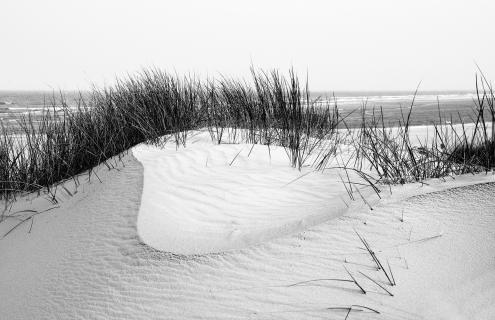 Langeoog