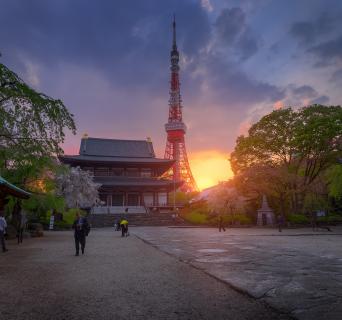 Zoujouji Sunset