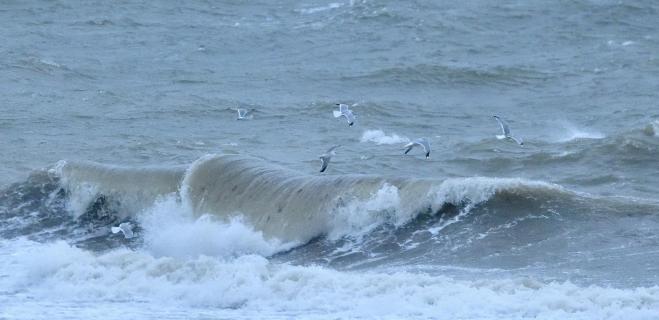 Sturm