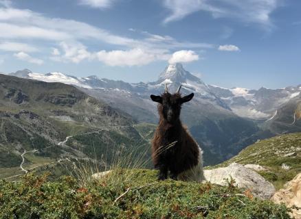 Zermatt