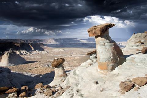 Studhorse Point