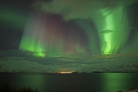 Aurora Iceland Fjord 66°
