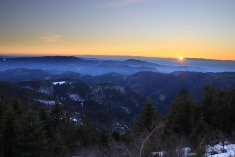 Black Forest Sunset