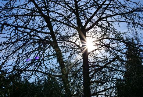 Ein sonniger Tag im Februar