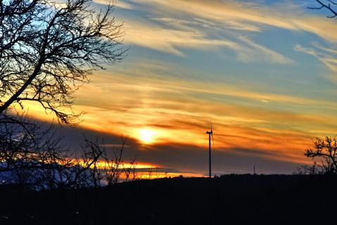 Sunset