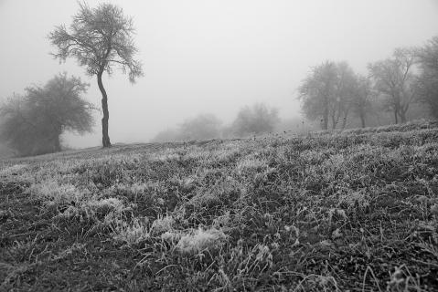 Nebel und Rauhreif