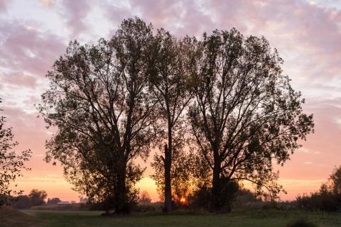 Sonnenaufgang