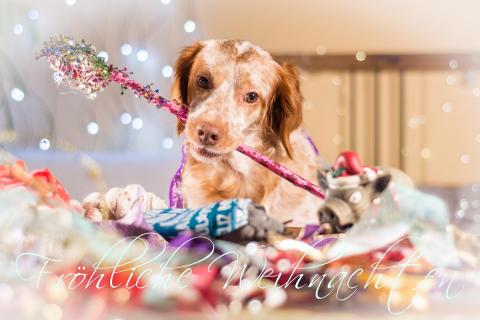 Merry Christmas, Joyeux noel, Buon Natale, Feliz navidad