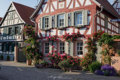 Die schönste Fassade in Trebur