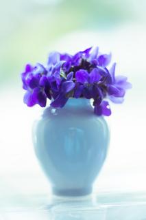 Veilchenblau / Violet blue