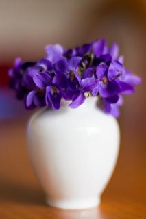 Veilchenbouquet / Violet bouquet