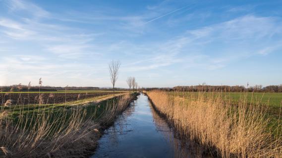 Hauptgraben
