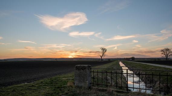 Sonnenuntergang über Rheinhessen