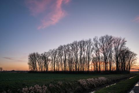 Sonnenuntergang