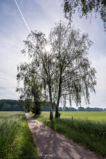 In den Schwarzbachauen