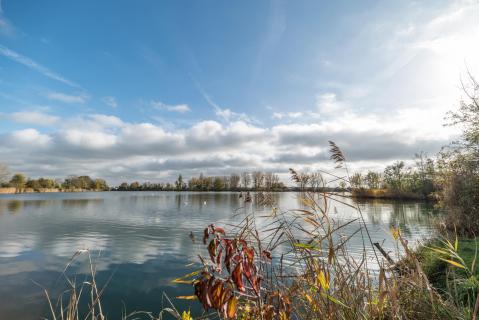 Herbst am See