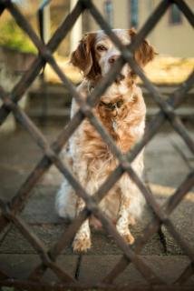 Hinter Gittern - Behind bars