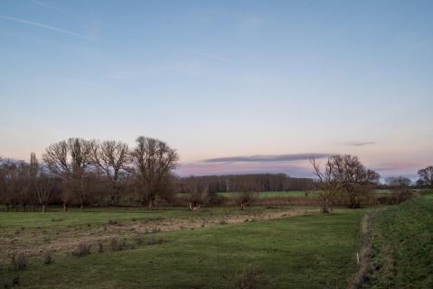 In den Schwarzbachauen - In the Schwarzbach floodplains