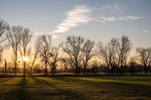 Lange Schatten - Long shadows