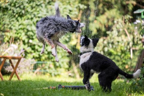 Ich glaube, ich kann fliegen - I believe i can fly