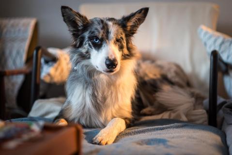 She's a Lady