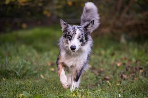 Ich komme! - I'm coming