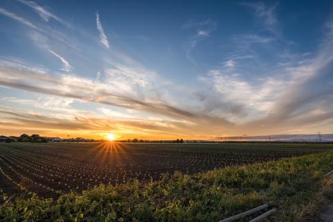 Salat im Sonnenuntergang - Salad at sunset