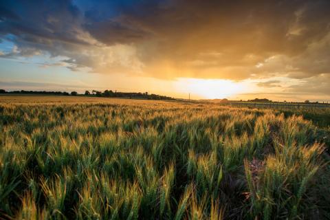 Sonnenuntergang in Frankreich