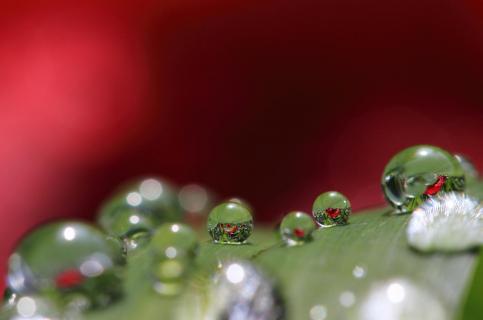 waterdrops