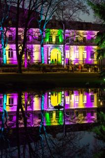 *The reflection of the Night*