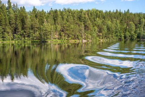 Seenlandschaft in Südschweden mit abstrakten Spiegelungen