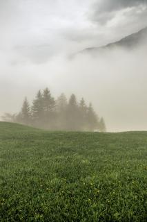 Morning in the Mountains