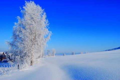 unberührte Winter Zauber Landschaft