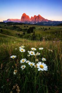 Alpe di siusi