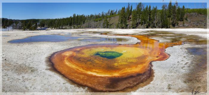 Geysier im Yellowstone Nationalpark