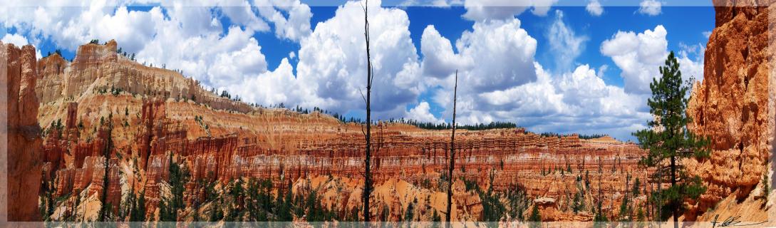 Bryce Canyon Panorama