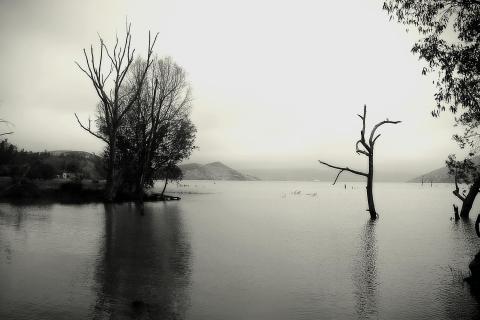 Natur schwarz/weiss 