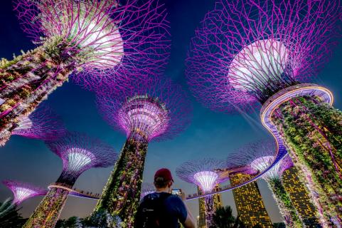 Supertrees in Singapur