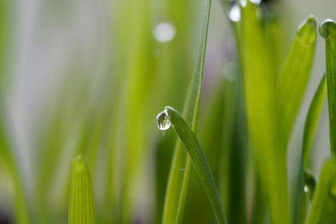 Tropfen und Bokeh