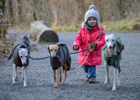 Kathi und die Hunde