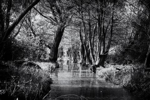 Spreewald monochrom