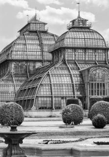 Palmenhaus Schloss Schönbrunn, Wien