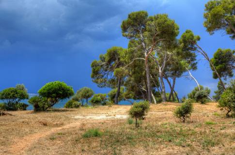 Mallorca HDR Landschaft