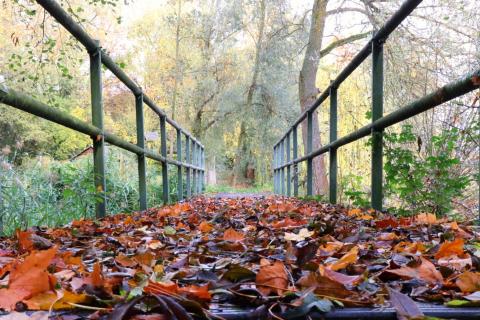 Herbstliebe