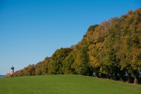 Kurfürstenalle Marktoberdorf