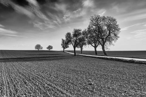 Rural landscapes - The seven under dramatic heaven