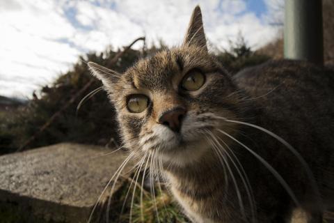 31 Aus der Sicht-des-Frosches_David_Hemetsberger